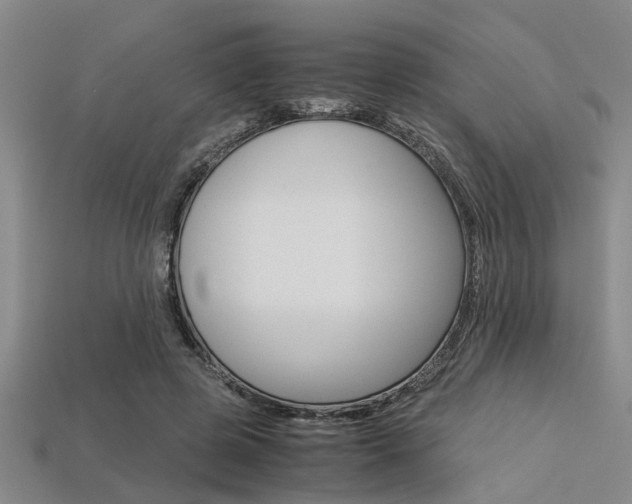 X0000113560545200909181023
