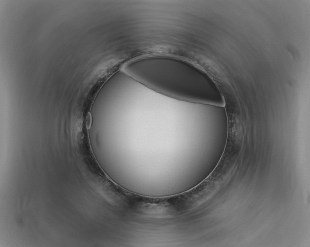 X0000113560548200909181023