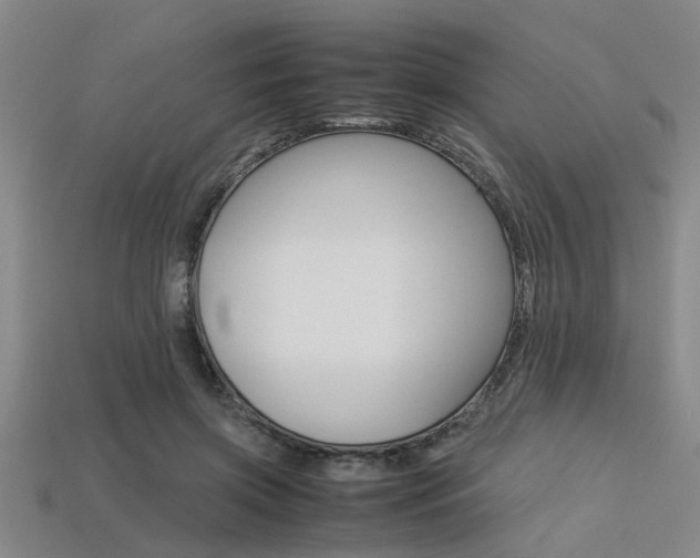 X0000113560549200909181023
