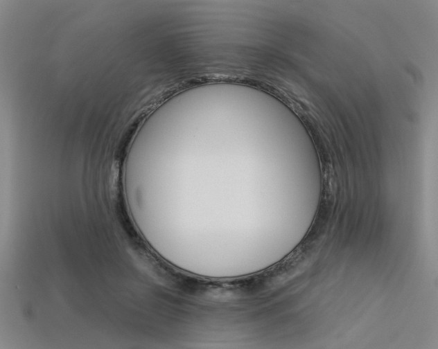 X0000113560550200909181023