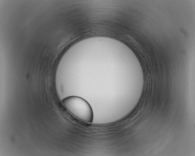 X0000113560552200909181023