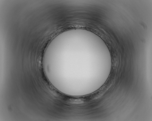 X0000113560553200909181023