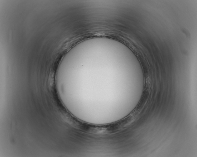 X0000113560554200909181023