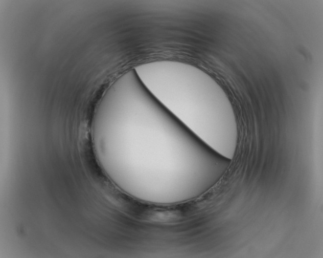 X0000113560555200909181023