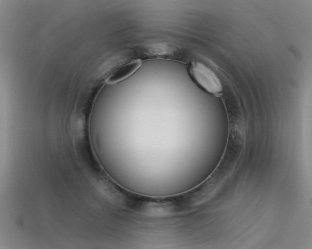 X0000113560556200909181023