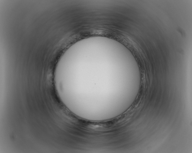 X0000113560557200909181023