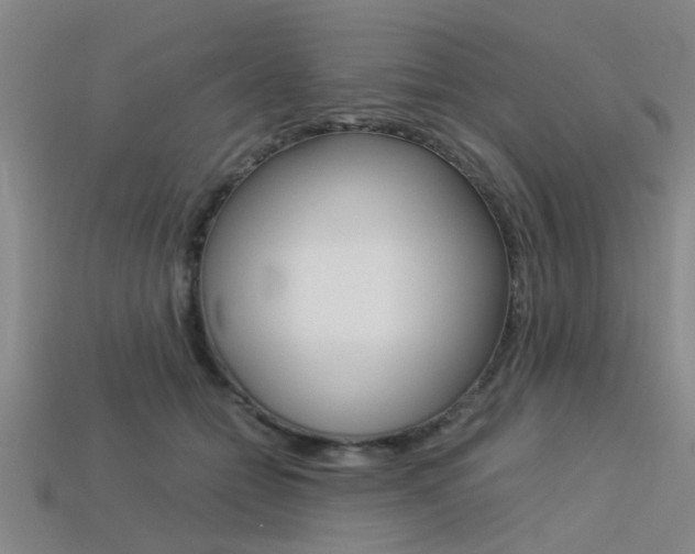 X0000113560558200909181023