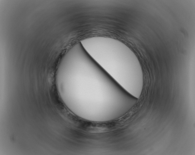 X0000113560559200909181023