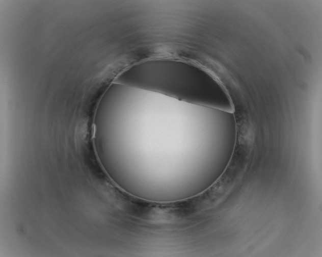 X0000113560560200909181023