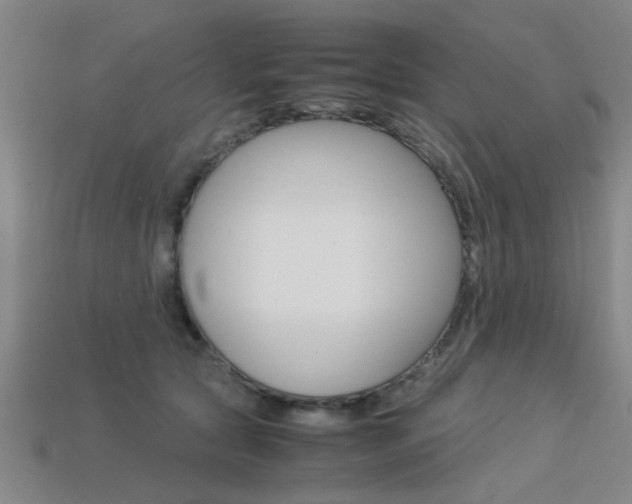 X0000113560561200909181023