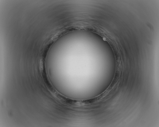 X0000113560562200909181023