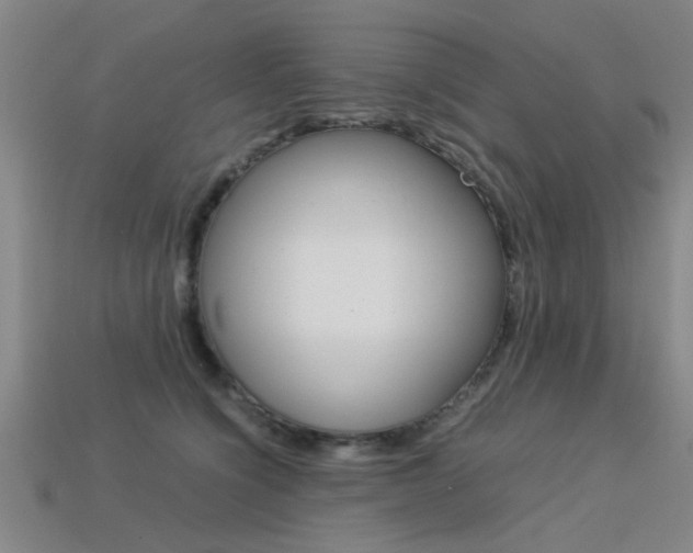 X0000113560564200909181023