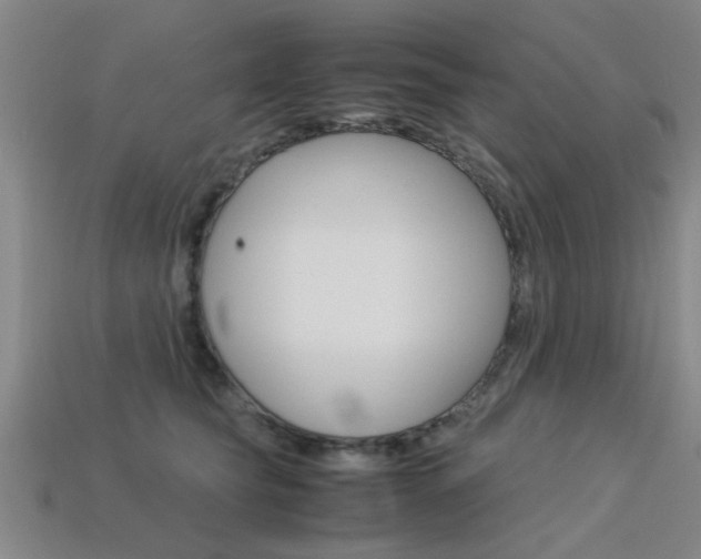 X0000113560565200909181023