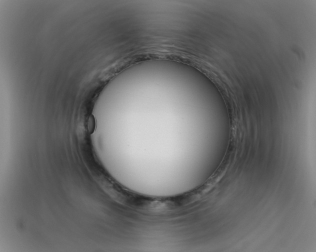 X0000113560566200909181023