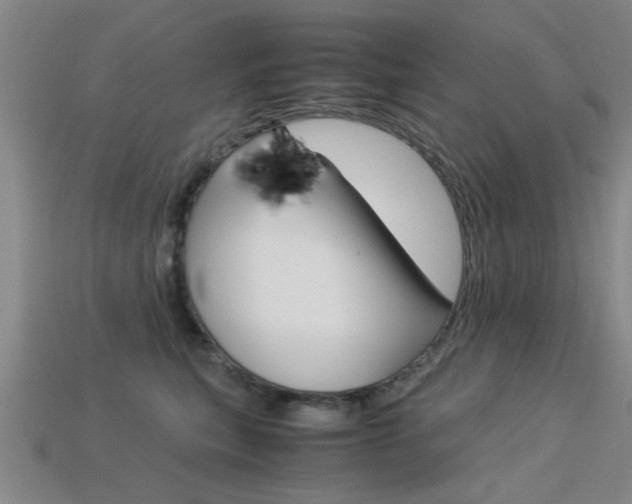 X0000113560567200909181023