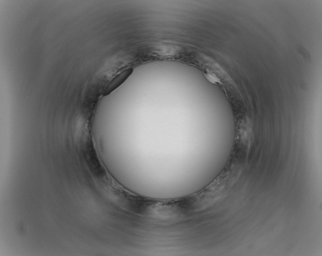 X0000113560568200909181023