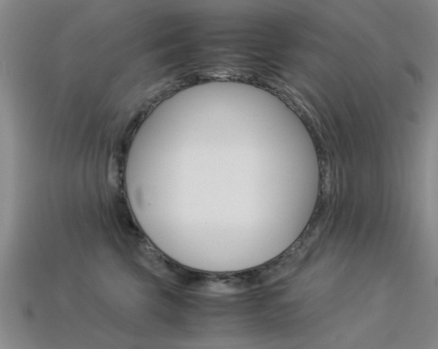 X0000113560569200909181023