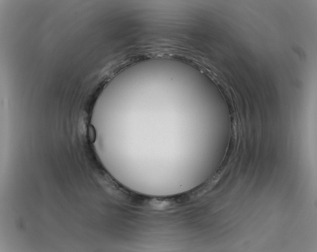 X0000113560570200909181023