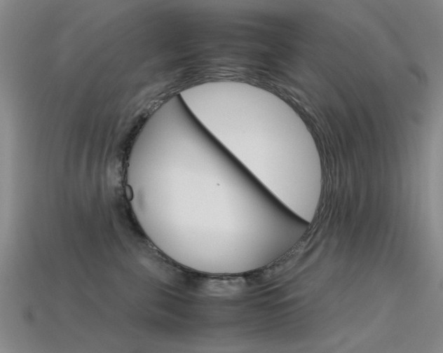 X0000113560571200909181023