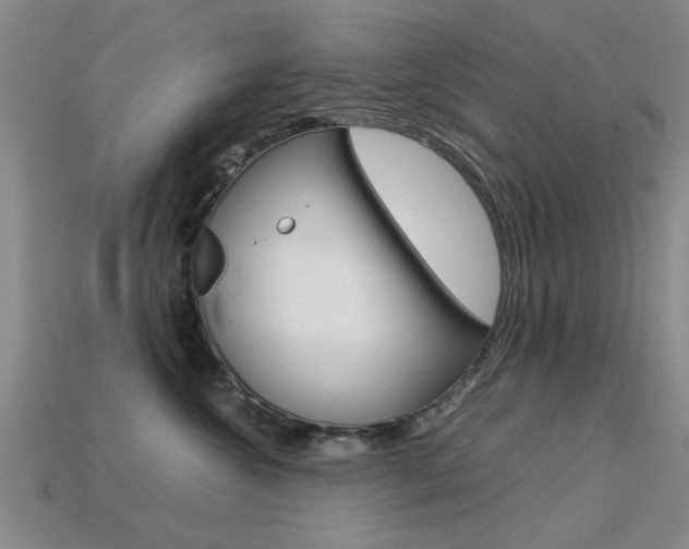 X0000113560572200909181023