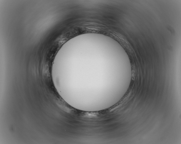 X0000113560573200909181023
