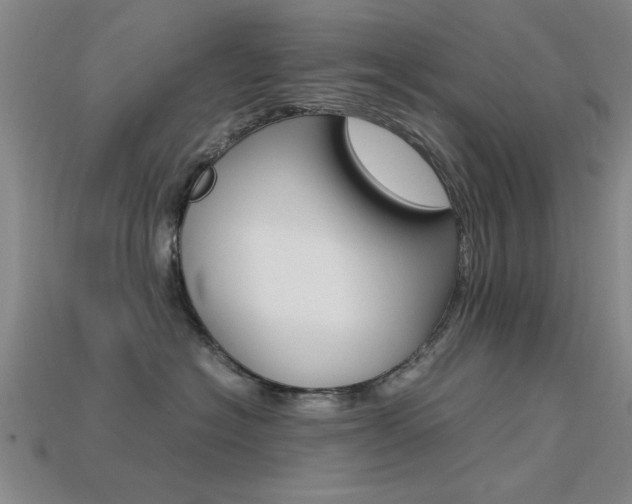 X0000113560574200909181023