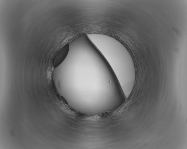 X0000113560576200909181023