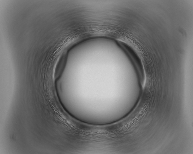 X0000113560577200909181023