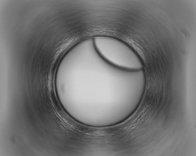 X0000113560578200909181023