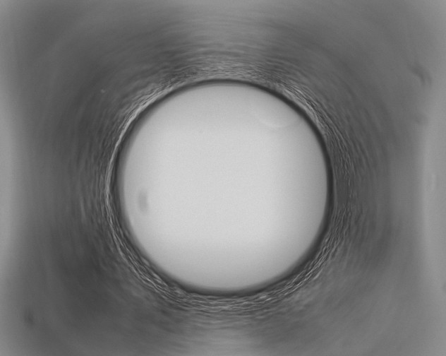 X0000113560579200909181023