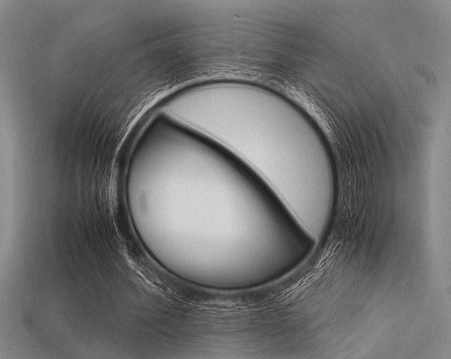 X0000113560580200909181023