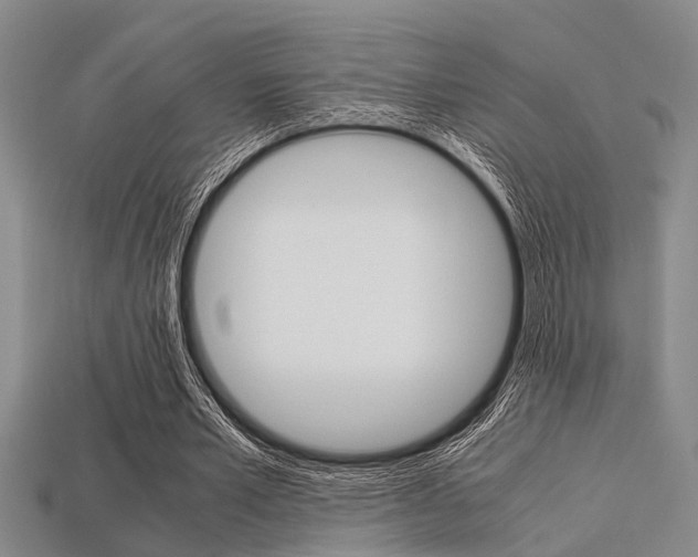 X0000113560581200909181023