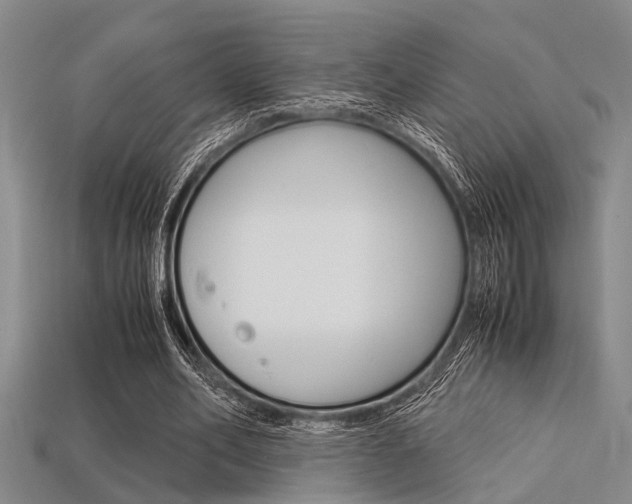 X0000113560582200909181023