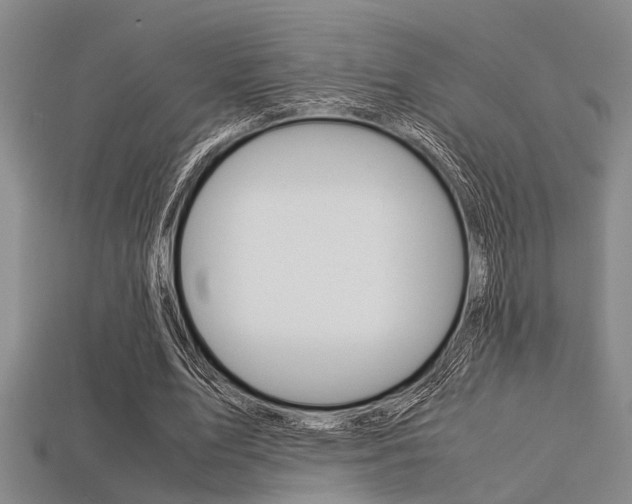 X0000113560583200909181023