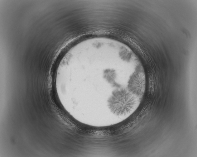 X0000113560584200909181023