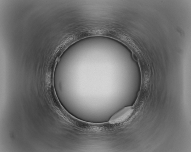 X0000113560585200909181023