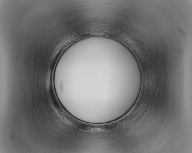 X0000113560586200909181023