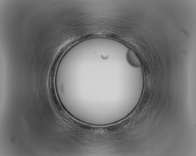 X0000113560587200909181023