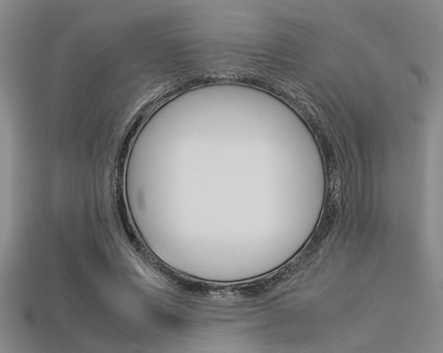 X0000113560591200909181023