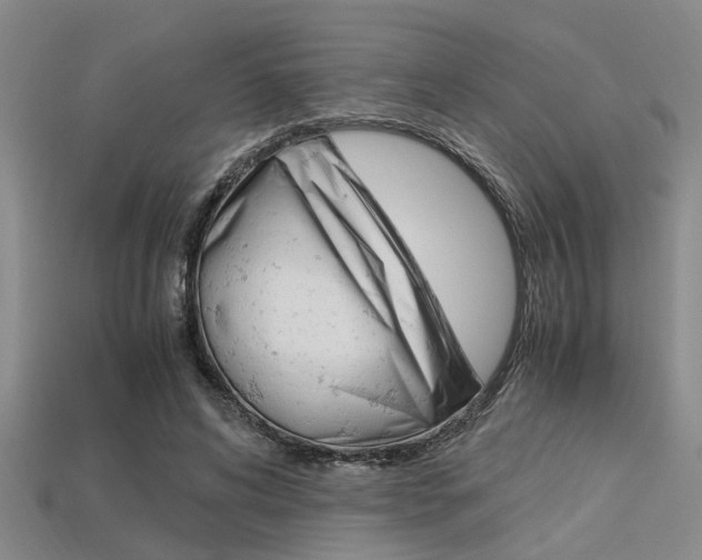 X0000113560592200909181023