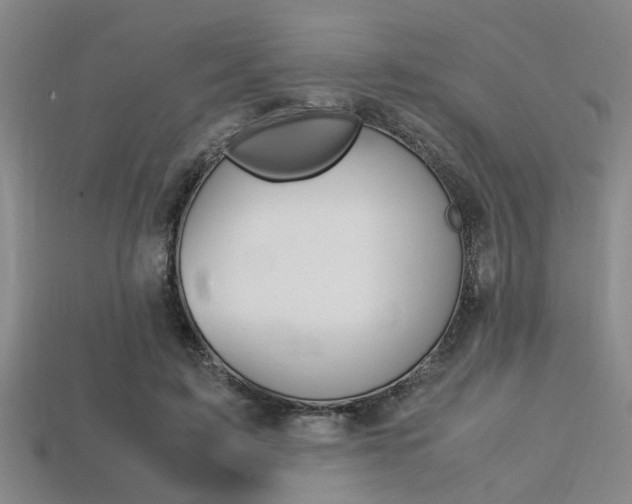 X0000113560595200909181023