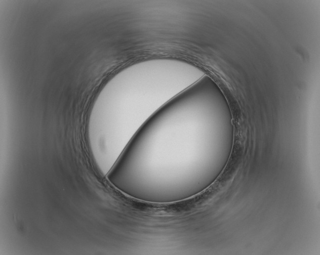 X0000113560597200909181023