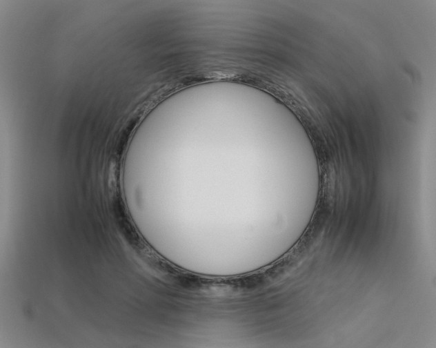 X0000113560598200909181022