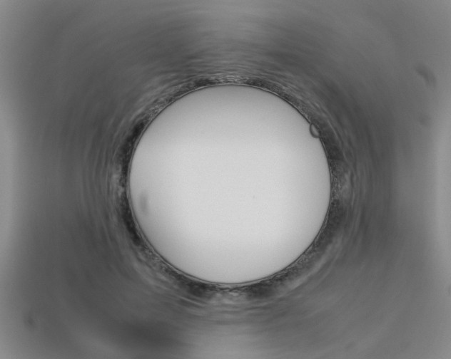 X0000113560599200909181022