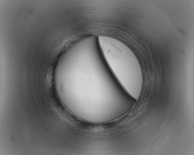 X0000113560600200909181022
