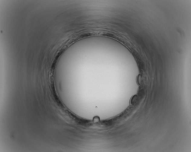 X0000113560601200909181022