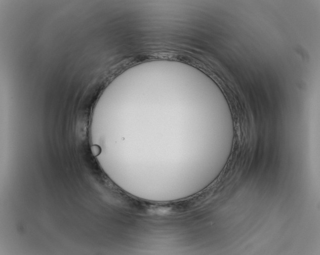 X0000113560602200909181022