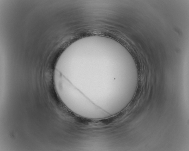 X0000113560603200909181022