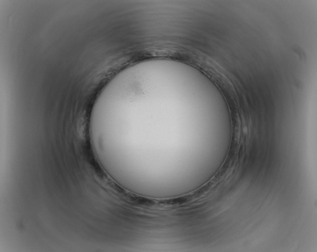 X0000113560604200909181022