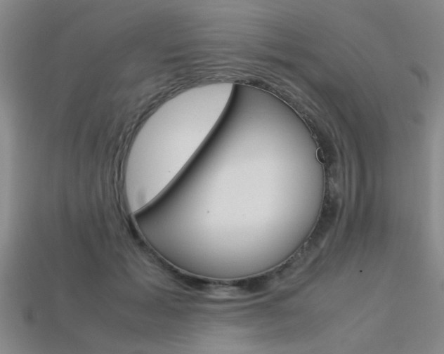 X0000113560605200909181022